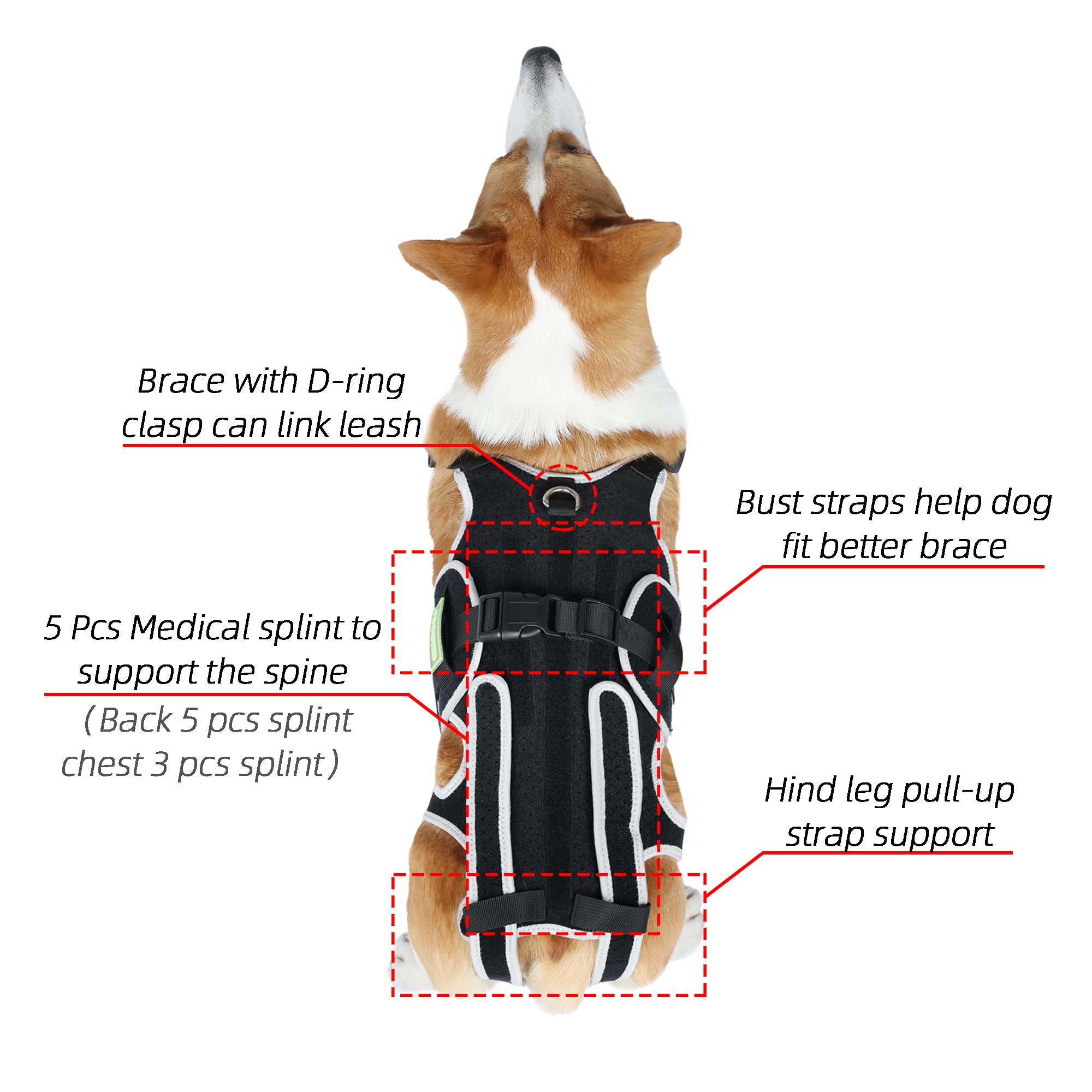 JOCUND Dog Back Brace for IVDD, Arthritis Pain Relief for