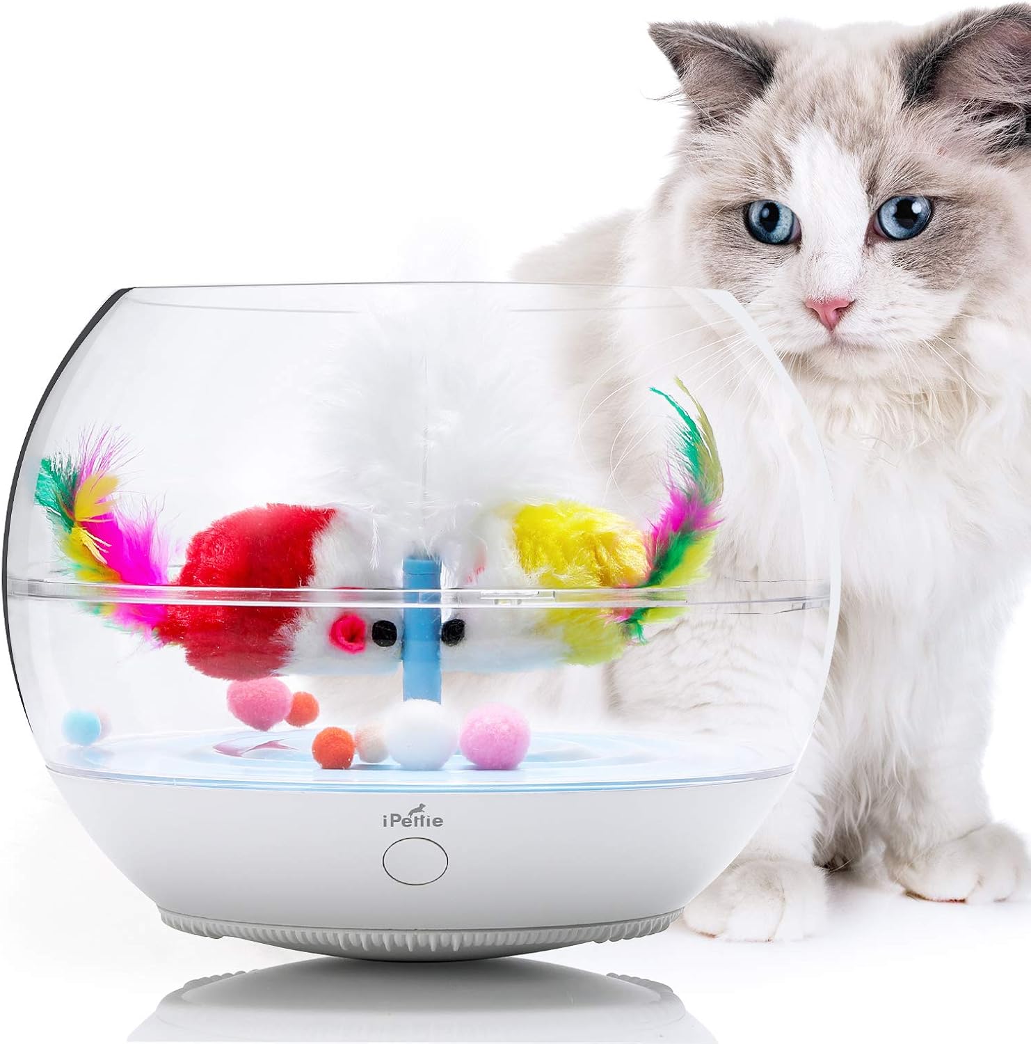 fish in a bowl for cats