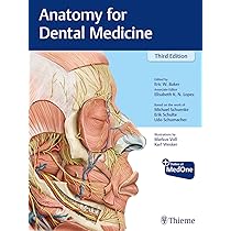 すべての歯科医師のための臨床解剖学に基づいたComprehensive Dental Surgery すべての歯科医師のための臨床解剖学に基づいたComprehensive