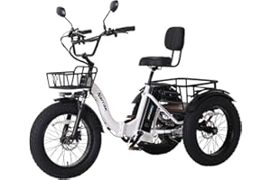 NARRAK Electric Tricycle for Adults, 750W(Peak 1350W), 48V13Ah Ebike, 20"x4.0" Aluminum Folding Fat Tire 3 Wheel Electric Trike, Max 20MPH Hydraulic Brake, Rear Motor Differential