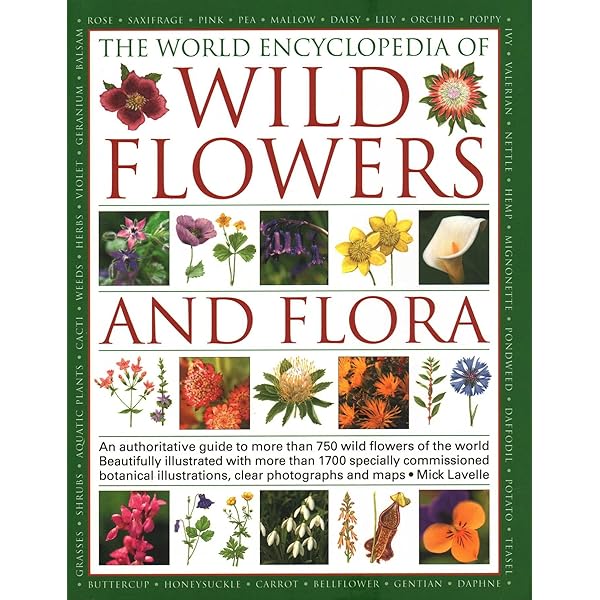 The World Encyclopedia of Wild Flowers & Flora: A Reference
