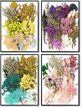 iDattel Dried Flowers Set for Arts & Crafts, Light Pink, DIY Jewelry view 6