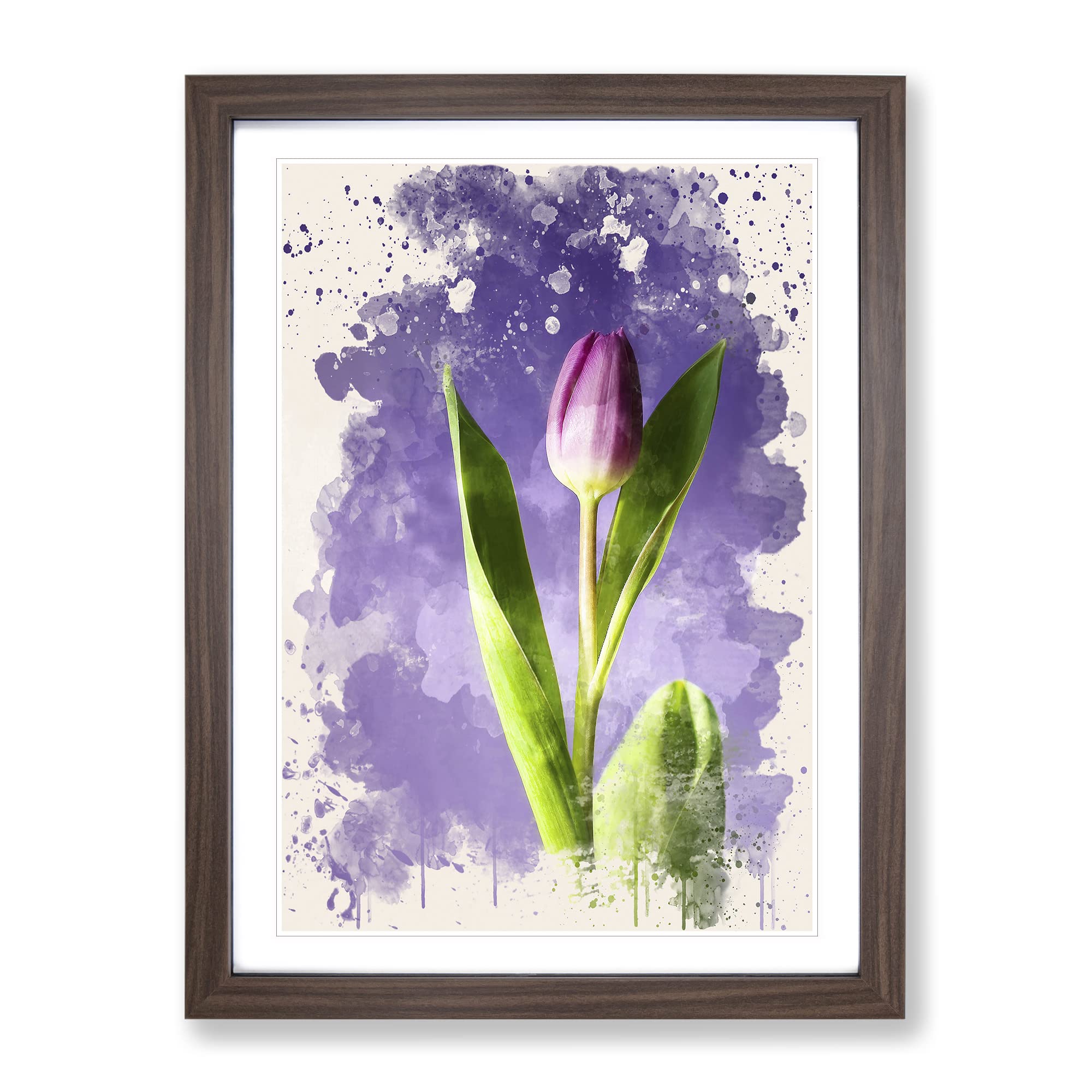 Pink Purple Tulip Flower No.4 Modern Fc Framed Wall Art Print, Ready to Hang Picture for Living Room Bedroom Home Office Décor, Walnut A3 (34 x 46 cm)