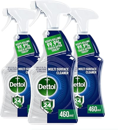 Dettol Protect 24 Hour Antibacterial Multi Surface Spray Ocean Fresh 460ml x3