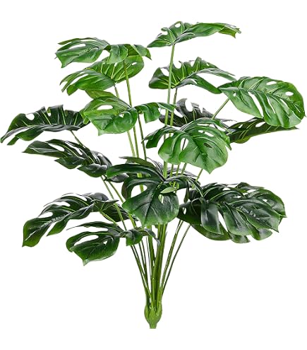 Amazon.com: SilksAreForever 29" Artificial Split Philodendron Monstera Leaf  Stem -Black (Pack of 12) : Home & Kitchen