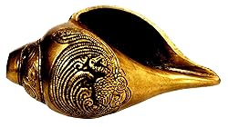 Purpledip Rare Collection Blowing Shankh Conch in