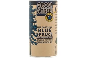 Blue Spruce | Seed Grow Kit | The Jonsteen Company