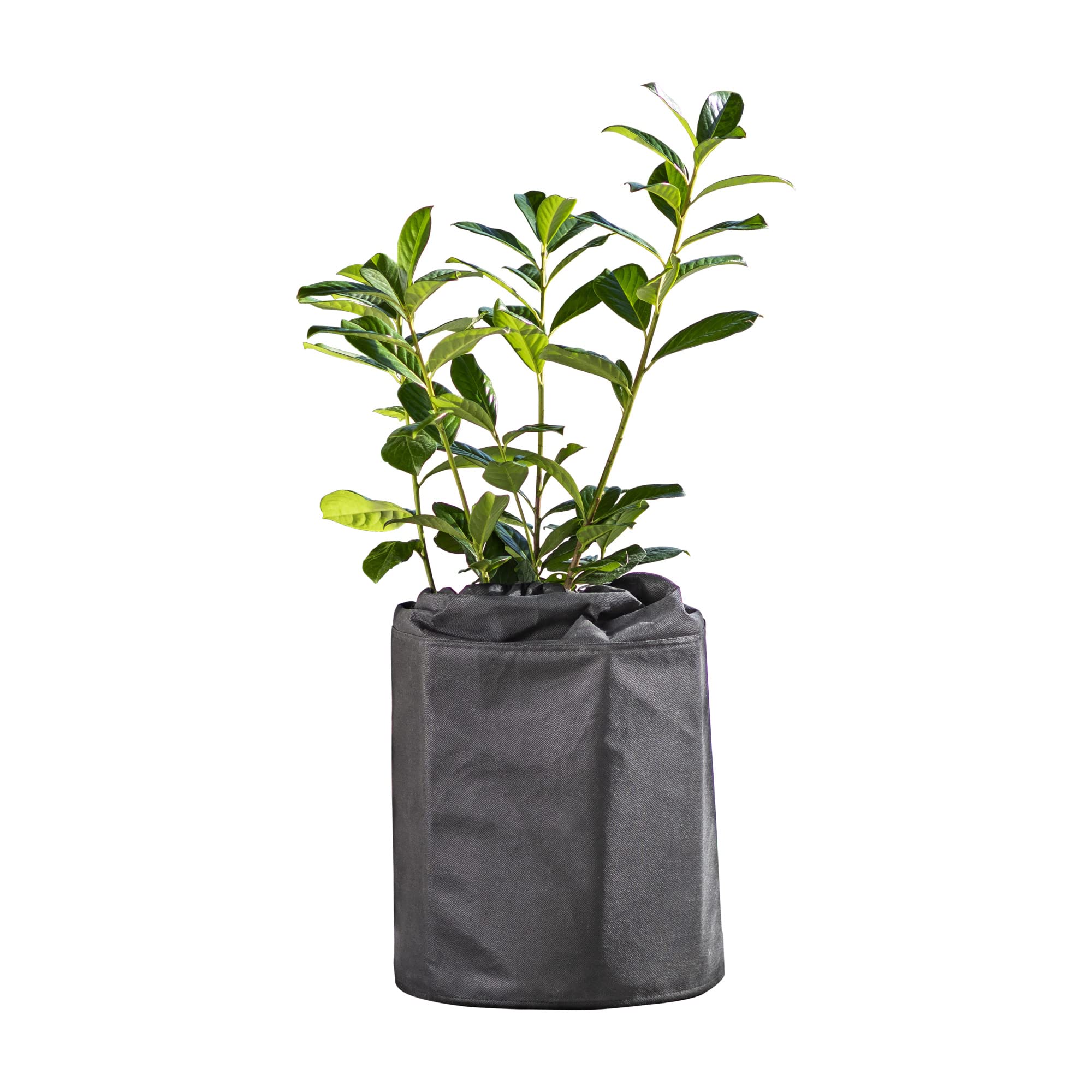 Superprotect L Winter Pot Protector, Thermal Plant Pot, Winter Protection for Potted Plants, Frost Protection, Pot Plants, Cold Protection, Diameter 25-35 cm x 40 cm, 07488