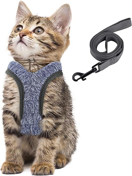 Simpeak Harnais Chat Harnais Petit Chien Et Chiot Laisse Harnais Chaton Reglable Gilet Respirant Securite Balade Amorti Et Anti Evasion Pour Chats Chiots Et Lapins Gris Clair Amazon Fr Cuisine Maison