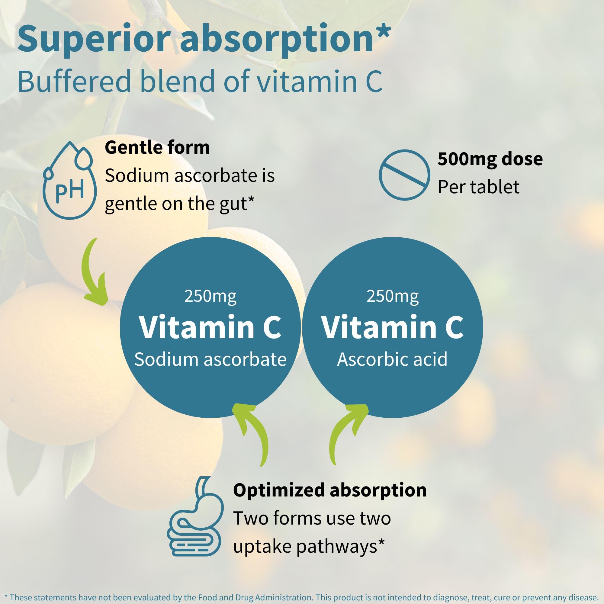 Igennus Gentle Buffered Vitamin C Chewable 500mg for Kids & Adults, No Artificial Colors & Natural Sugar Free Orange & Lemon Flavors, Vegan, Non-GMO, 120 Servings