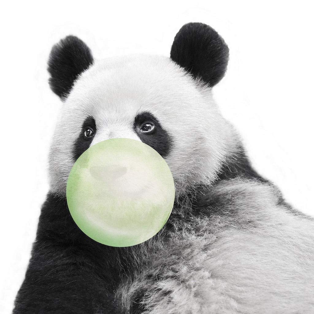 Color N Tamano 40 50cm Sin Marco Animal Cebra Jirafa