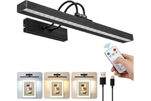 Lightess Picture Light Battery Operated, 16in Wireless Picture Lights for Wall with Remote, CCT Dimmable, Rechargeable Art Li