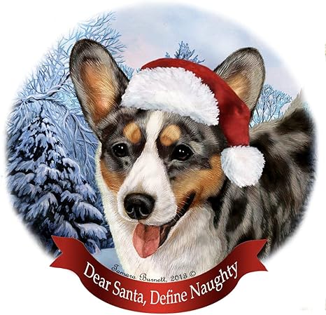 corgi sweater amazon