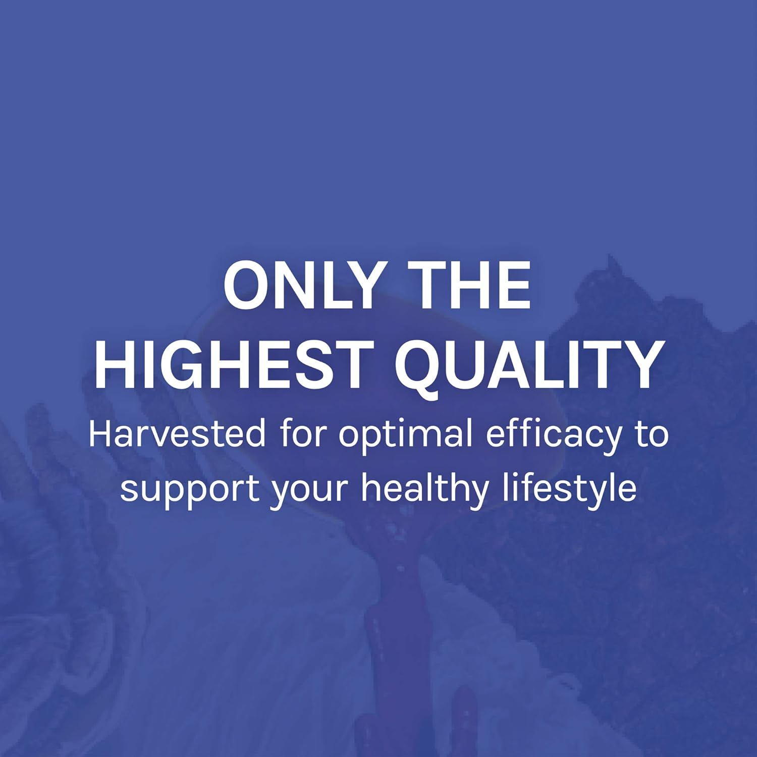 Host Defense, Stamets 7 Capsules, Daily Immune Support, Mushroom Supplement with Lion’s Mane, Reishi, Vegan, Organic, 30 Capsules (15 Servings): Health & Personal Care