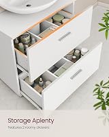 Vasagle CUSTOS Under-Sink Cabinet 2 Drawers 30x60x63.8 cm Cloud White view 3