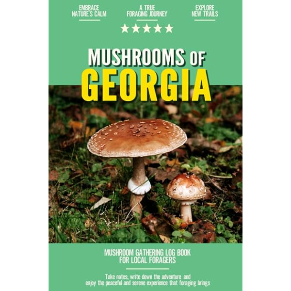 Georgia Edible Mushrooms Amazon.com: A Field Guide To The Mushrooms Of