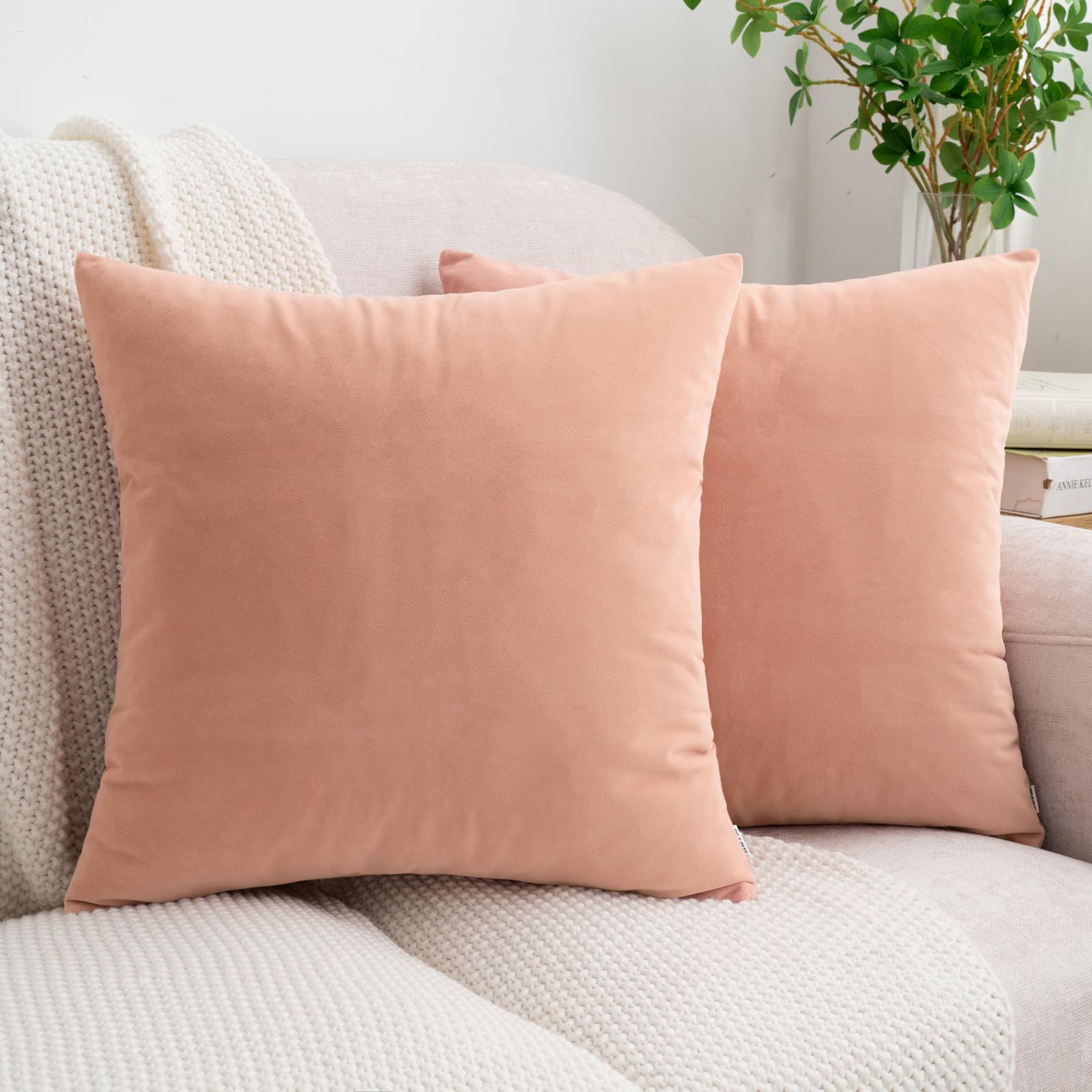 HWY 50 Dusty Pink Velvet Throw Pillow Covers 20x20 Inch, Pack of 2 Soft Cozy Solid Decorative Luxury Cushion Cases for Couch Sofa Bed Living Room Bedroom