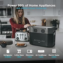 EF ECOFLOW Solar Generator DELTA Max (2000) 2016Wh