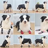 BEAUTYZOO Dog Socks Anti-Slip Paw Protectors 3 Pairs Medium view 9