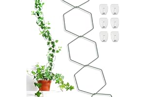 MINGRI Chain Trellis for Climbing Plants Indoor Outdoor,95.4in Versatile Plant Vine Support,Garden House Plant Accessorie and Metal Wall Trellis for Houseplant,Pothos,Monstera,Ivy, Wisteria 18Pcs (Green)