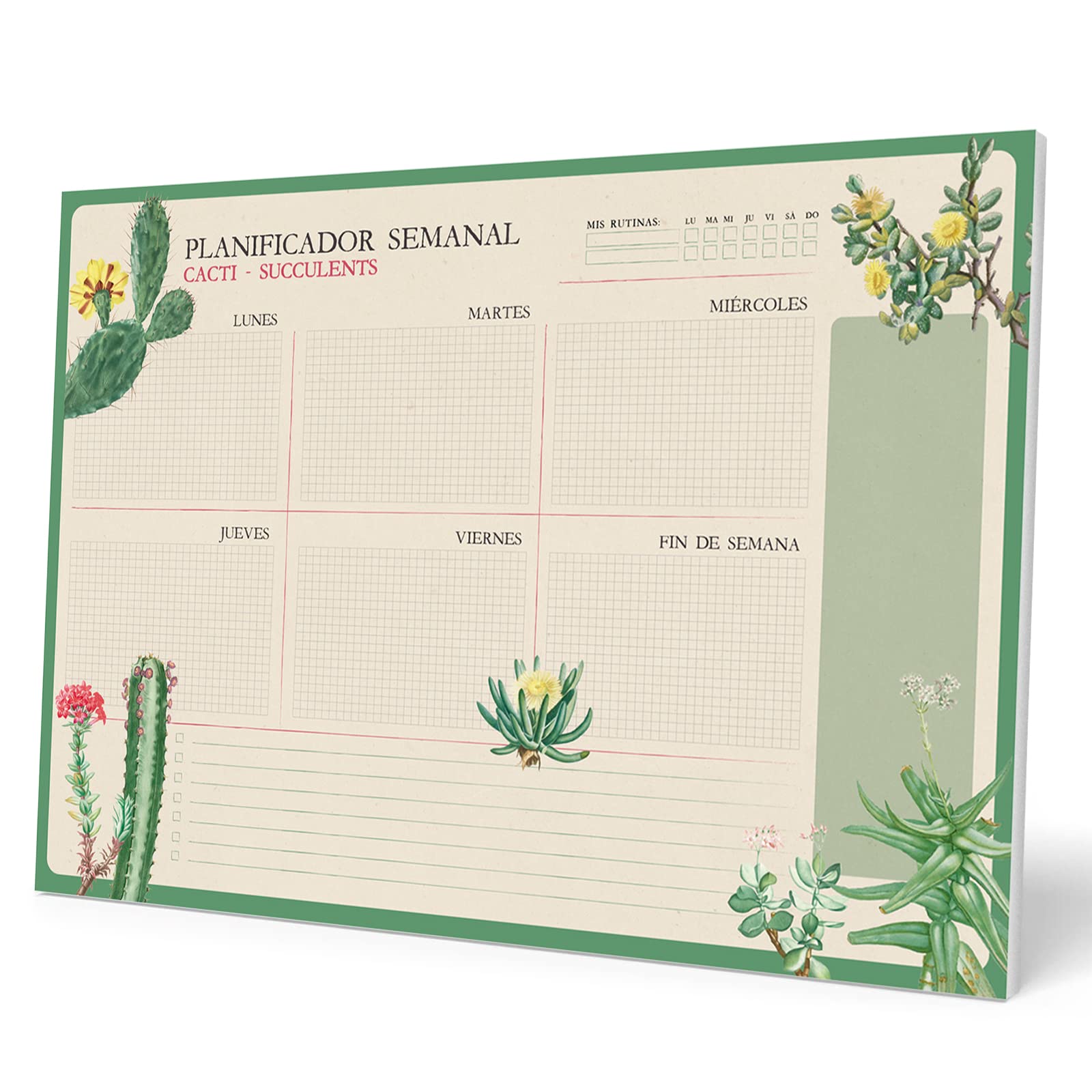 Grupo Erik Weekly Planner A3 In Spanish - Botanical Cacti | Undated Daily Planner Family, Desk Calendar, 54 Tear Off Pages A3 Notepad | Cute Stationery Gifts Under 10 Pounds, Spanish Gifts
