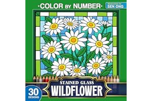Wildflower Dreams Stained Glass Color by Number: 30 Radiant Blossoms in Vibrant Landscapes