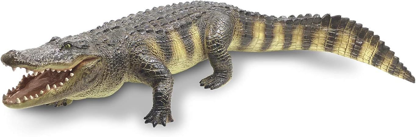 Amazon.com: RECUR 22.8inch Super Big 