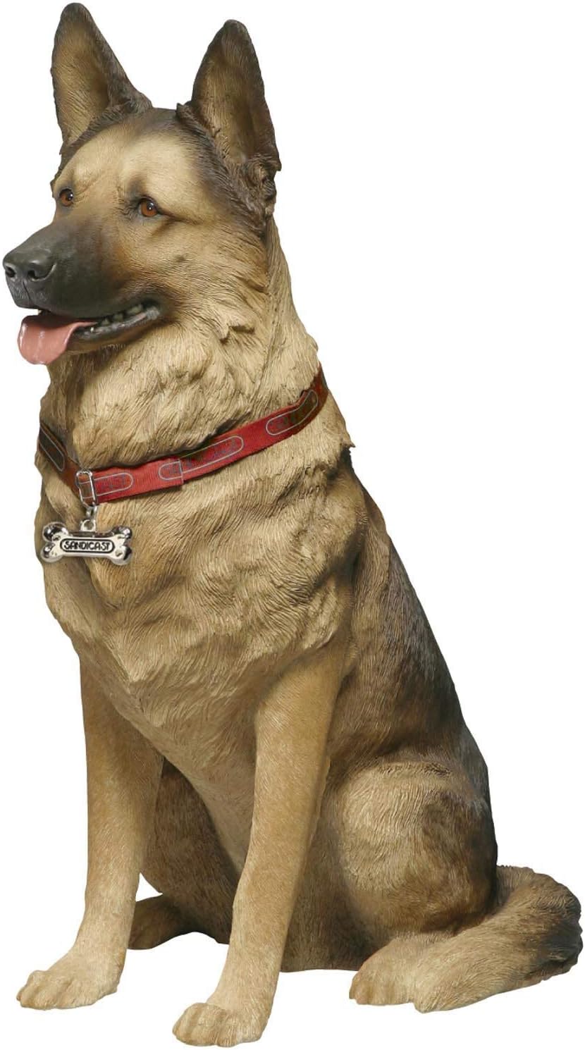 german shepherd large size