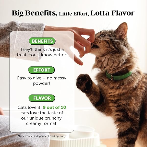 CAT URINARY TRACT HEALTH CRUNCHY & CREAMY CHEWS – PROMOTES HEALTHY DIGESTION & NORMAL BLADDER FUNCTION WITH CRANBERRY, ANTIOXIDANTS, & PROBIOTICS – GUT + BLADDER SUPPORT SUPPLEMENT (30 DAY SUPPLY)