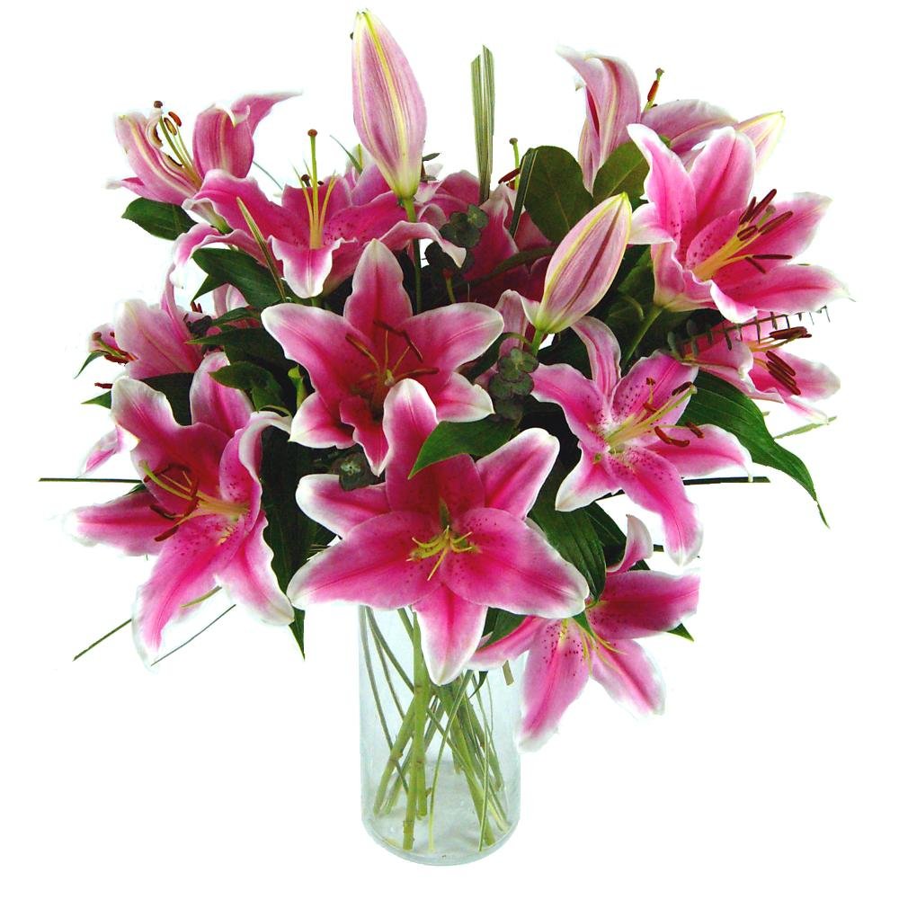 Clare Florist Sensation Lilies Fresh Flower Bouquet - Wonderful Lilies Arranged into a Stunning Bouquet