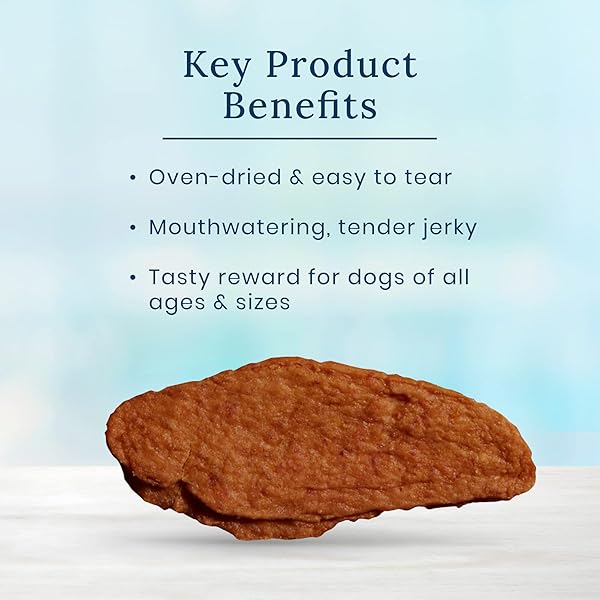 BLUE BUFFALO NUDGES JERKY CUTS NATURAL DOG TREATS CHICKEN BAG