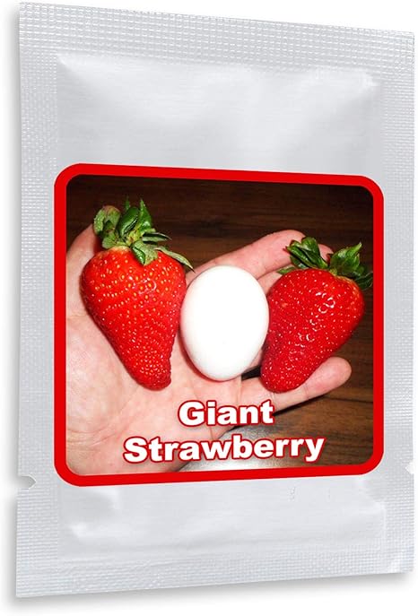 Semences De Fraises Geantes Giant Fragaria Ananassa Ca 100