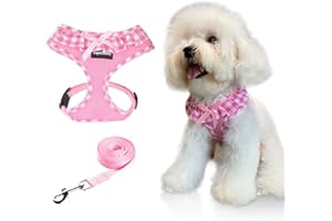SuperBuddy Upgraded Soft Mesh Dog Harness, Super Breathable Lightweight Pet Harnesses for Puppy Dogs Outdoor Walking, Pink Dog Harness and Dog Leash Set Packing -XSmall