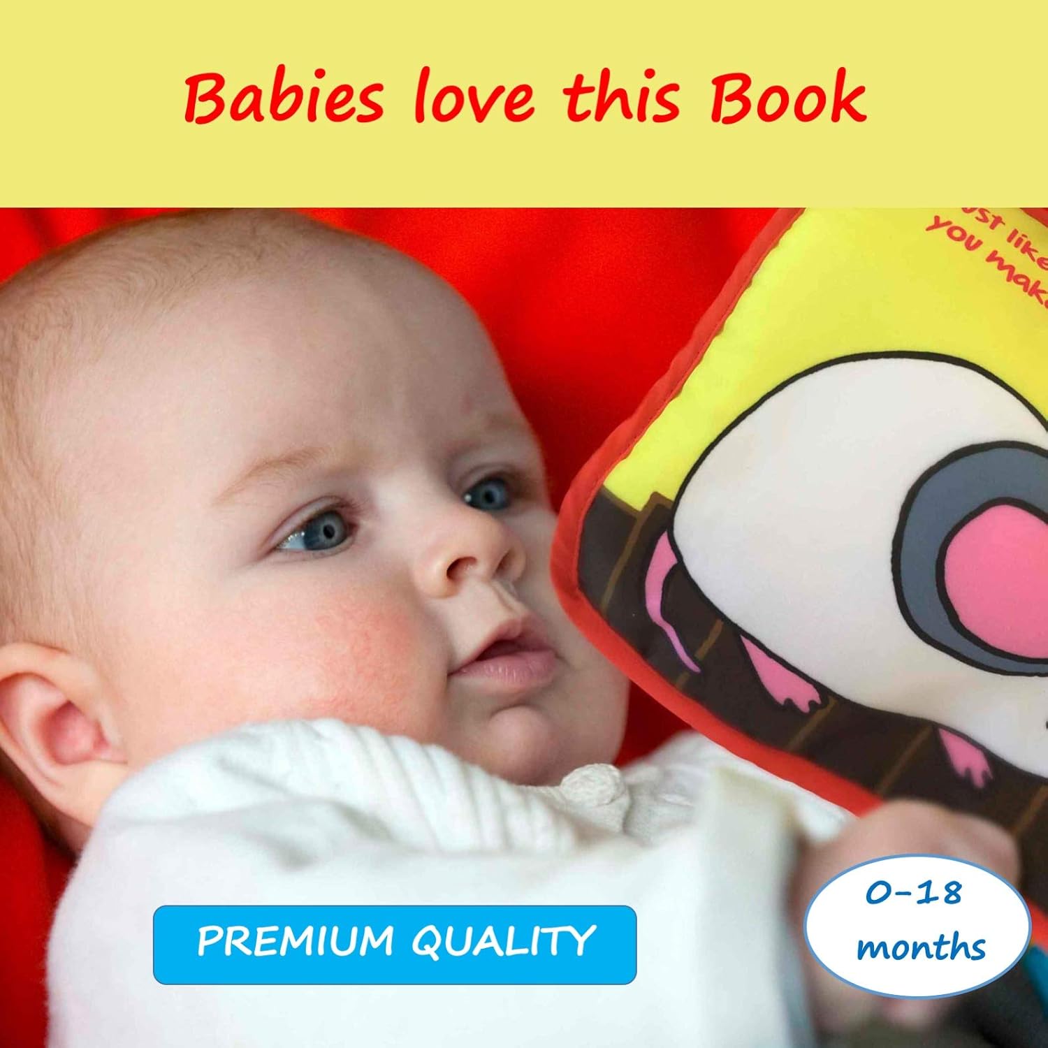 soft cloth books for babies