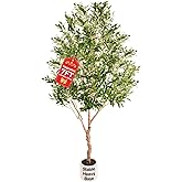 Large Olive Trees Artificial Indoor, Upgraded 7FT Faux Olive Tree with Natural Wood Trunk and Lifelike Fruits, White Tall Planter, Modern Artificial Plants for Home/Office Decor Gifts