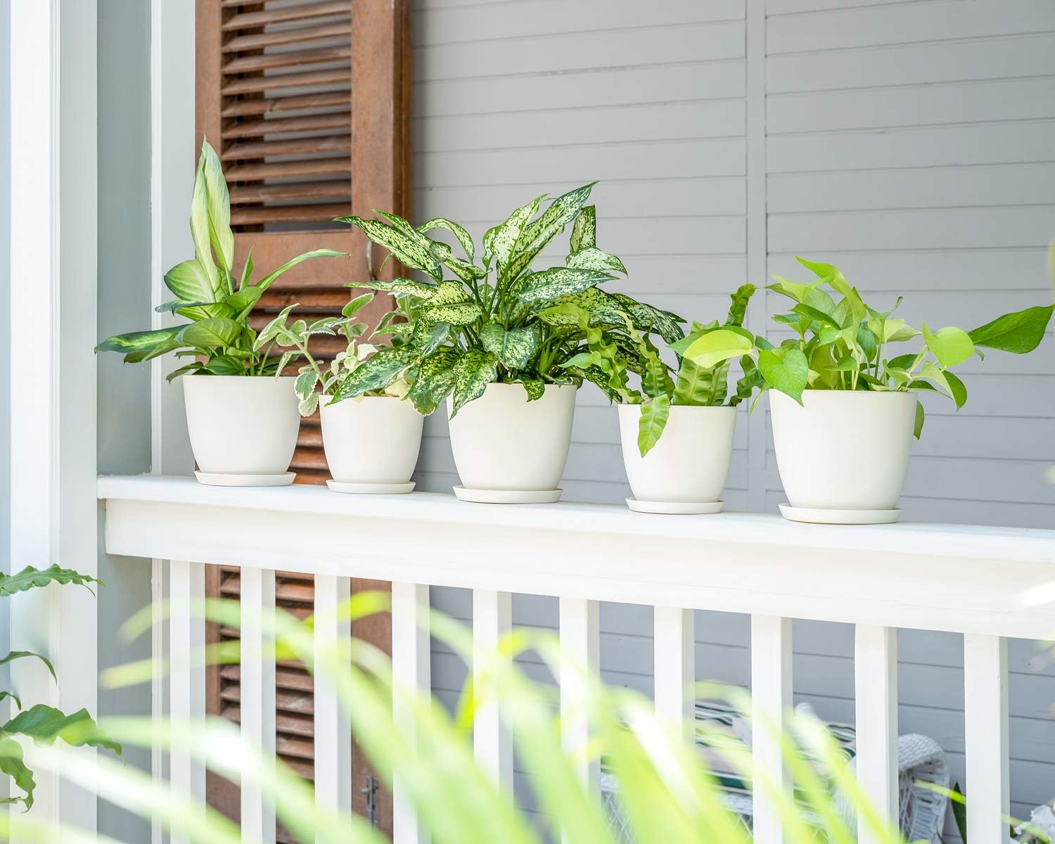 Mkono Plastic Planters with Saucers, Indoor Set of 5 Flower Plant Pots Modern Decorative Gardening Pot with Drainage for All House Plants, Herbs, Foliage Plant, and Seeding Nursery, Cream White, 6.5": Garden & Outdoor