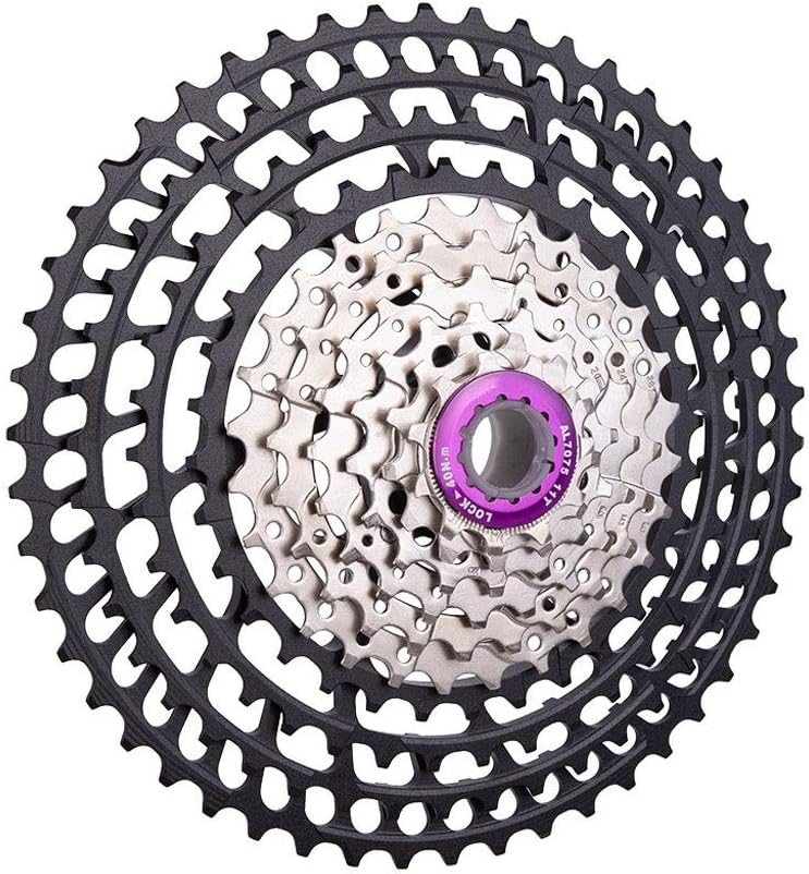 10 speed screw on freewheel