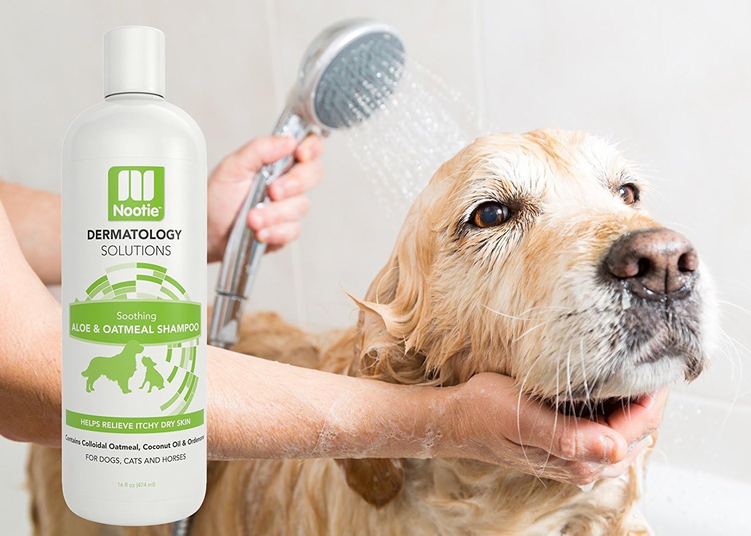 dna my dog breed list