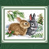 YANCONGLIDEYAN Cross Stitch Kit 11CT Stamped Beginners Pre-Printed Rabbits view 6