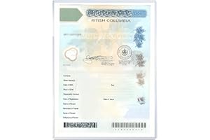 1Pcs Birth Certificate Holder Canada,Firm Waterproof Plastic Card Sleeves with Protective Film,Newborn Baby Documents Protect