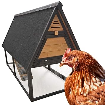 Wiltec Poulailler Cage Poules Enclos élevage Volaille Canard Oies Dinde Pondoir Perchoir Bac Amovible