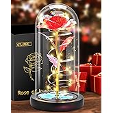 Otlonpe Preserved Forever Valentines Day Flower Gifts for Her, Glass Light Up Rose Gifts for Women Mom Grandma Girlfriend Wife Sister, Valentines Mothers Day Christmas Birthday Womens Gift (Red)
