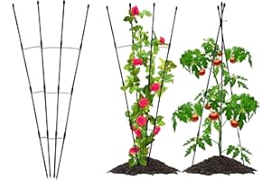 ZHUOKECE Garden Trellis, Plant Trellis for Climbing Plants Outdoor Indoor, Vertical Shape Plant Support for Houseplants Flowers Vine Ivy,Fan Shape (47")