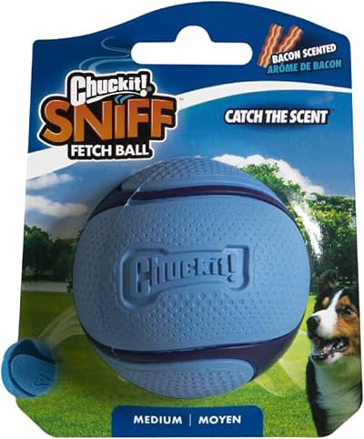 Chuckit! Sniff Bacon Scented Dog Fetch Ball Medium Durable Rubber Interactive