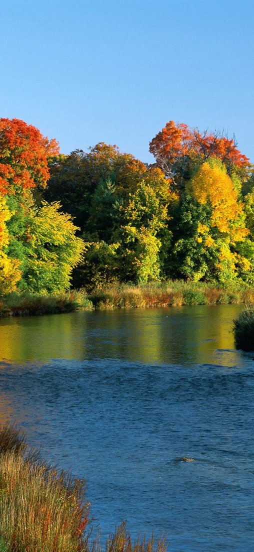 PeelitStickit, Beautiful Nature Wall Murals, ID-0108, vinyl