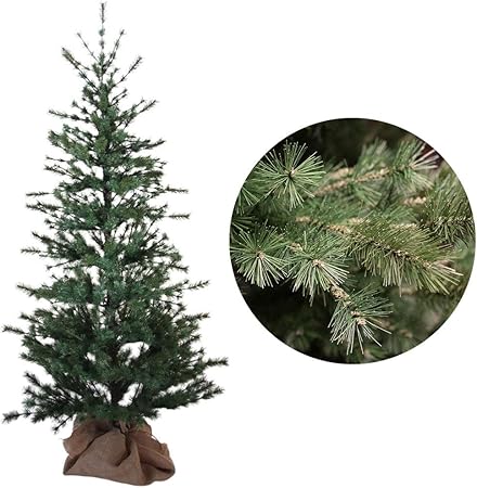 Amazon Co Jp クリスマスツリー 180cm 手作りニードル葉クリスマスツリー こだわりヌードツリー リアル リアル枝 収納セット付 車 バイク