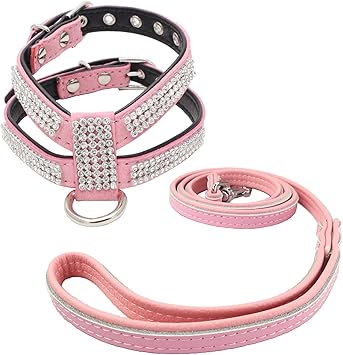 cute female dog harness