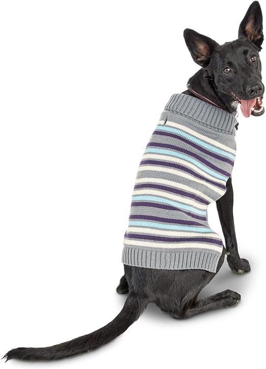 bond & co dog jacket