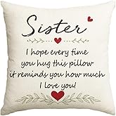 AVOIN colorlife to My Sister Hug Throw Pillow Cover, 18 x 18 Inch Christmas Sister's Gift Lady Girls Birthday Cushion Case I Love You So Much from Sister Brother