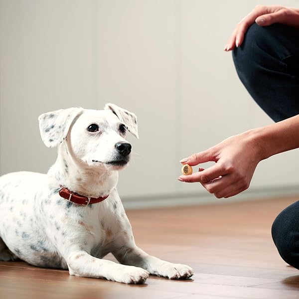 MILK-BONE MAROSNACKS DOG TREATS, PEANUT BUTTER, 40 OUNCE WITH REAL BONE MARROW AND CALCIUM
